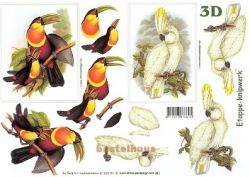 Tukan + Papagei LE SUH 4169197